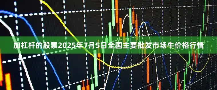 加杠杆的股票2025年7月5日全国主要批发市场牛价格行情